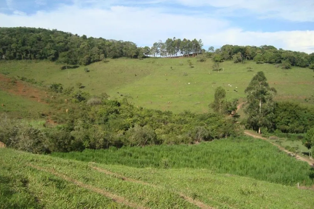 Fazenda - Foto 4