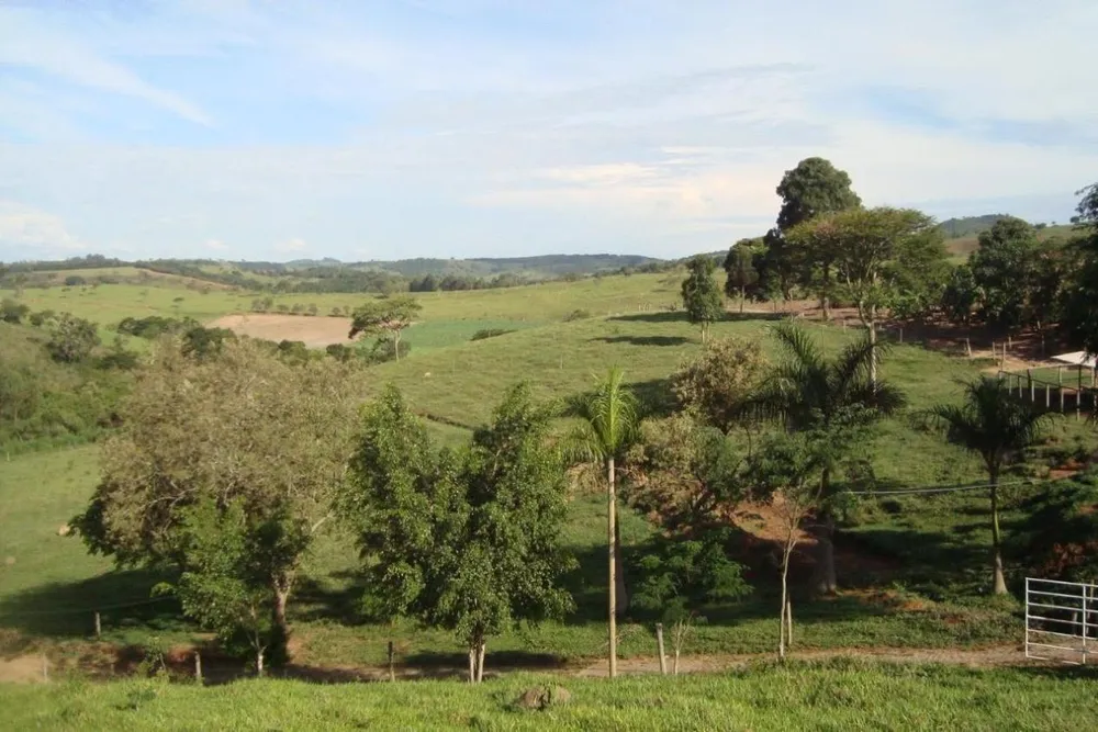 Fazenda - Foto 3