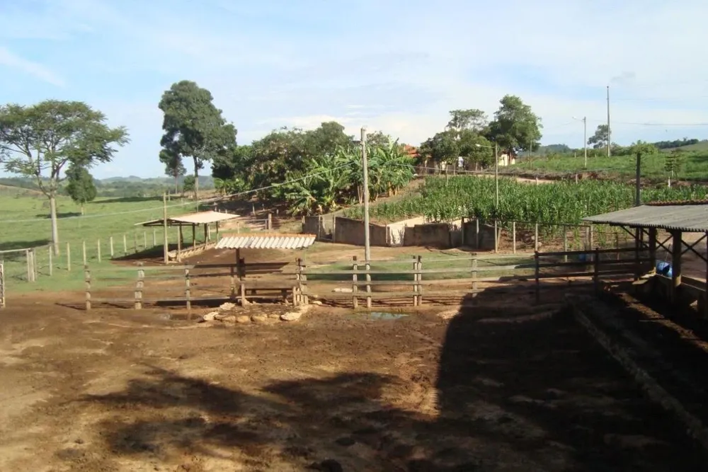 Fazenda - Foto 2