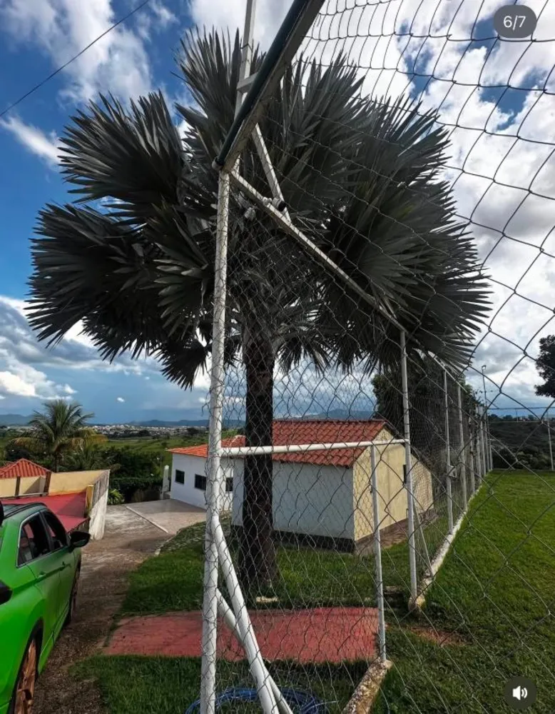 Sítio, 3 quartos, 30 m² - Foto 4