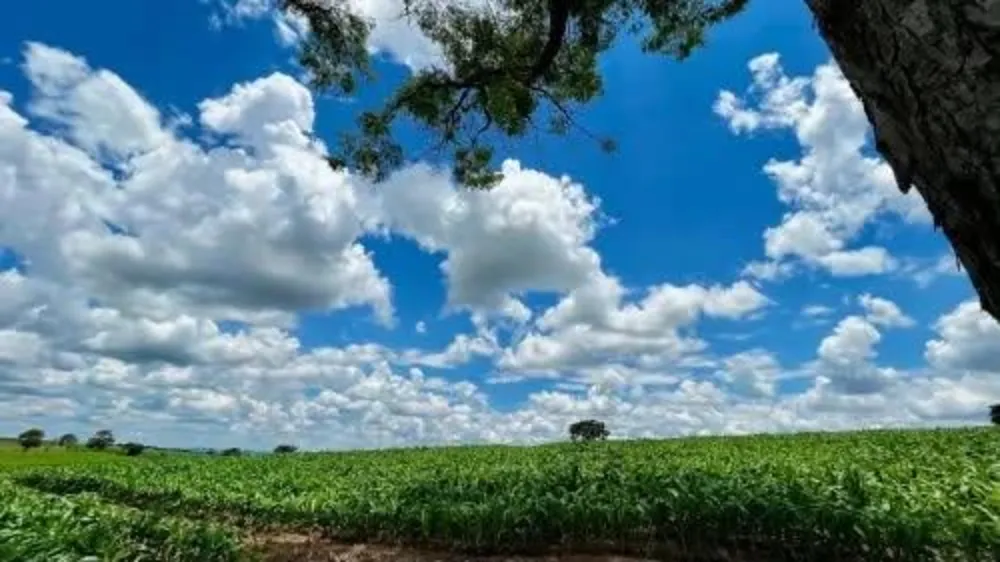 Fazenda - Foto 1