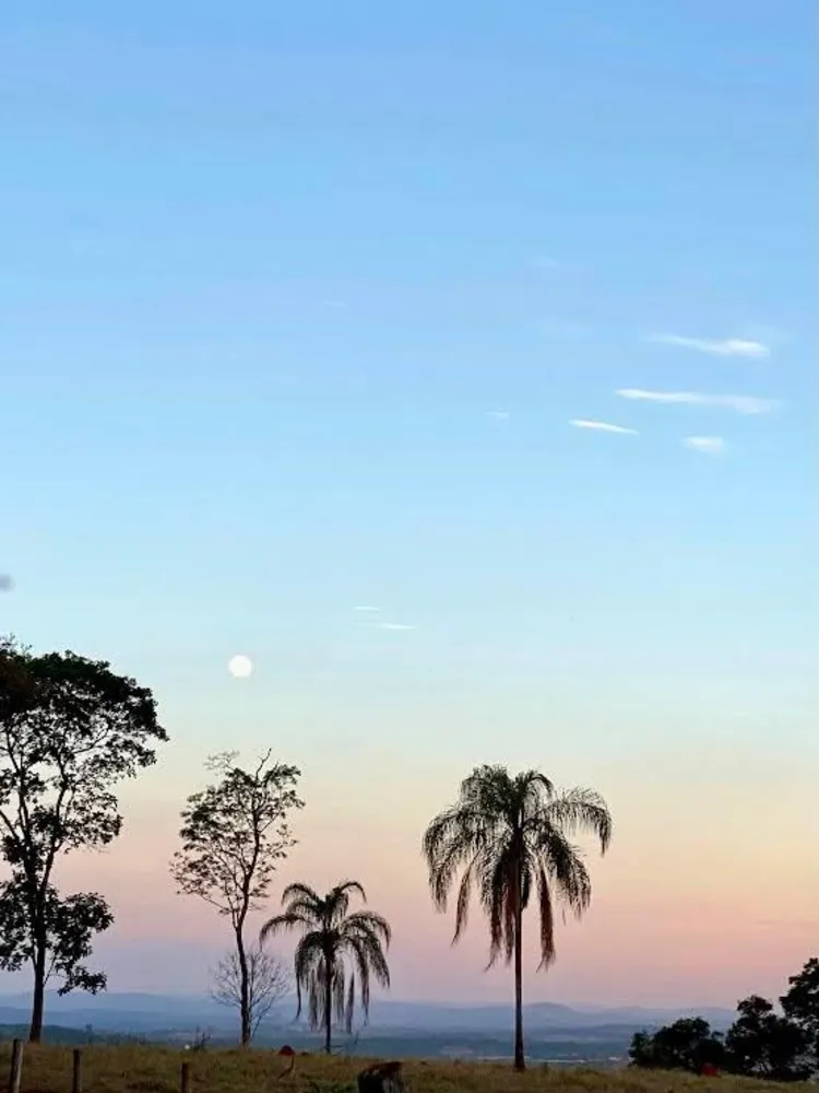Fazenda - Foto 2