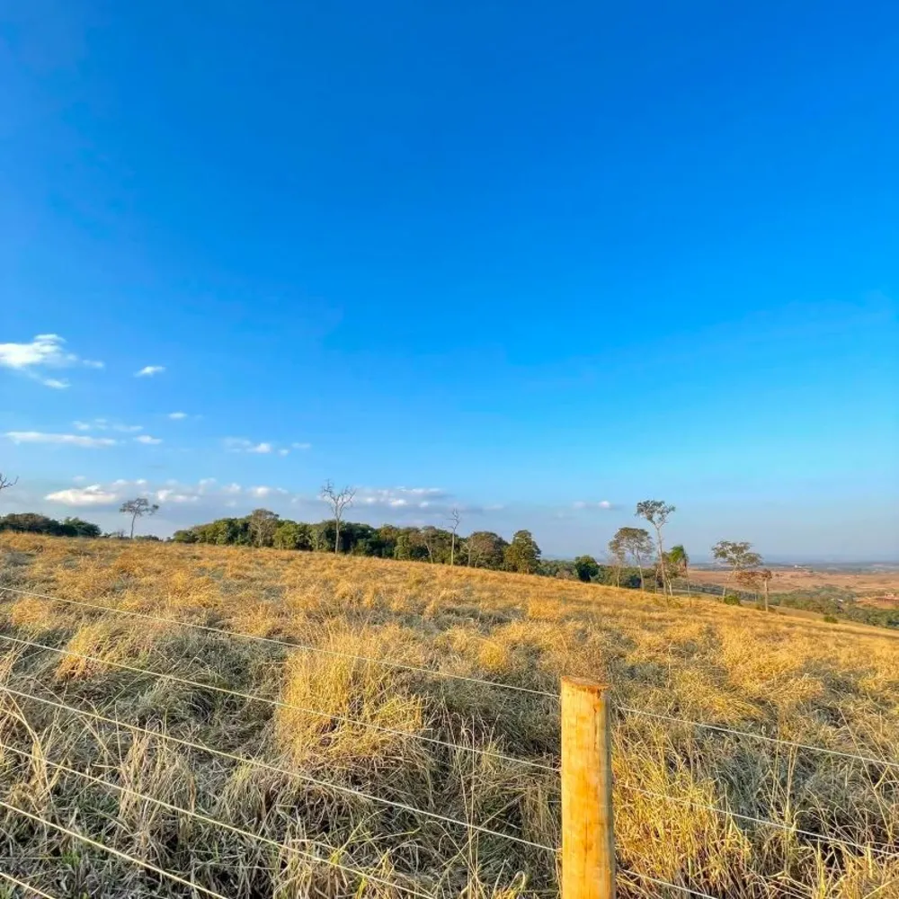 Fazenda - Foto 4