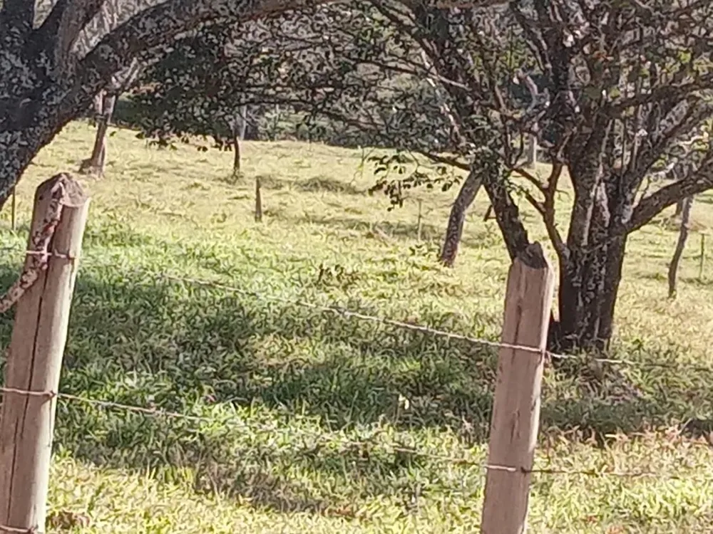 Fazenda, 500 m² - Foto 3