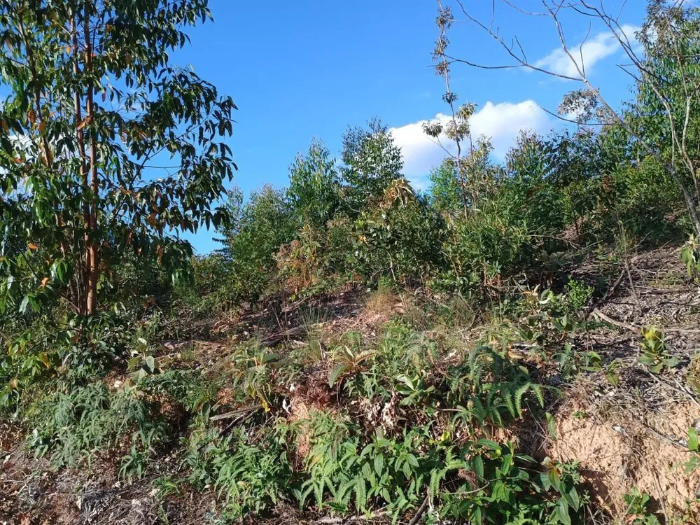 Terreno - Foto 4