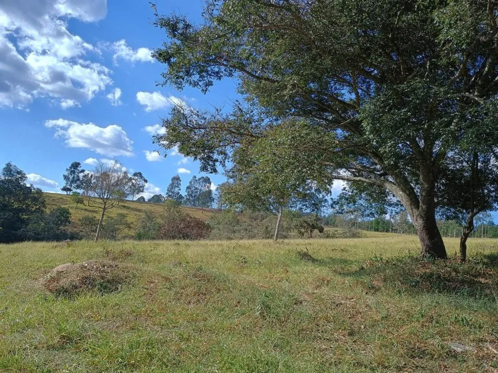 Terreno - Foto 2
