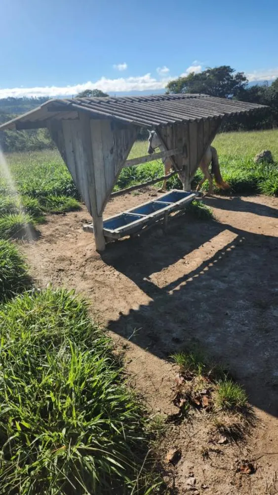 Terreno - Foto 3
