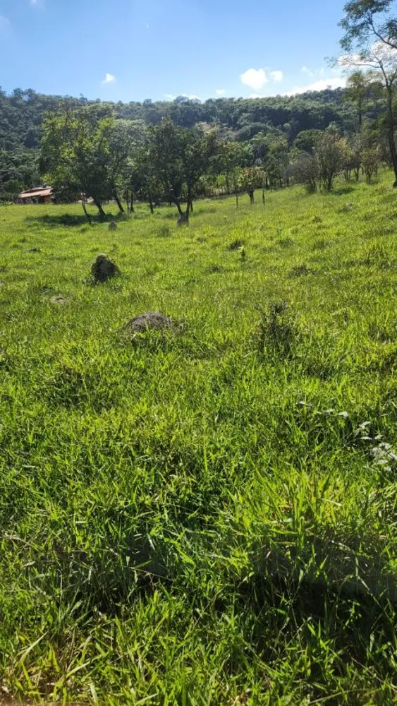 Terreno - Foto 2
