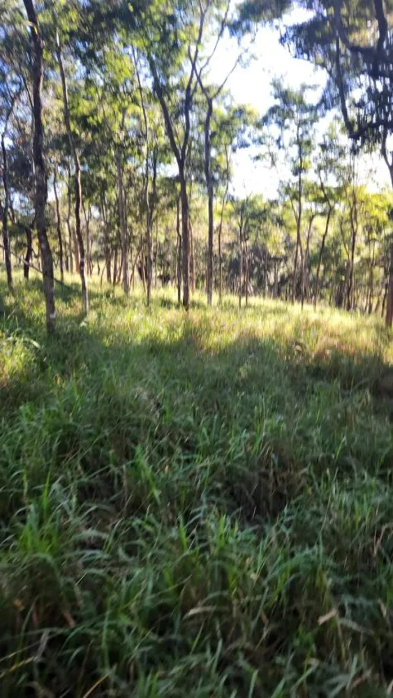 Terreno - Foto 4