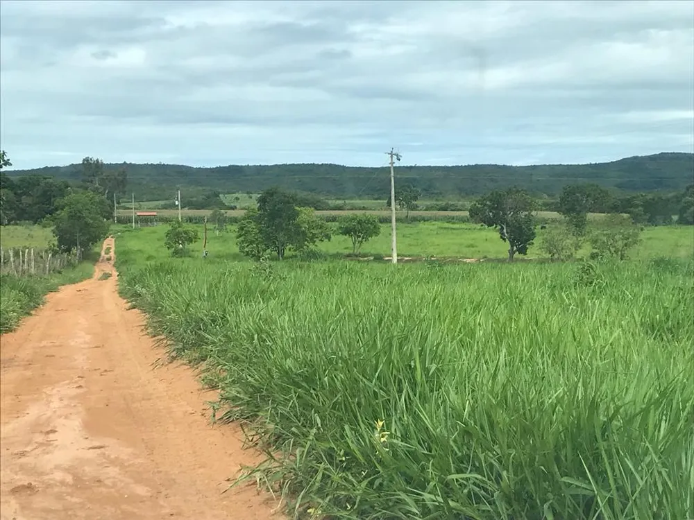 Fazenda - Foto 2