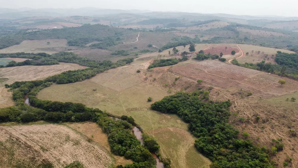 Fazenda - Foto 4