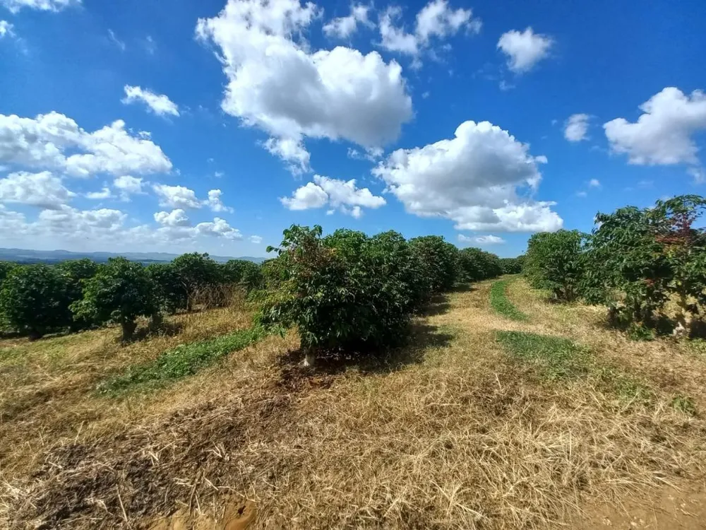 Fazenda - Foto 4