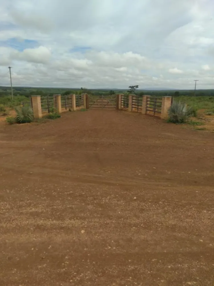 Fazenda - Foto 3