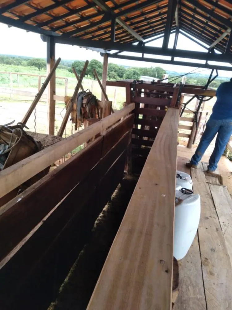 Fazenda - Foto 2