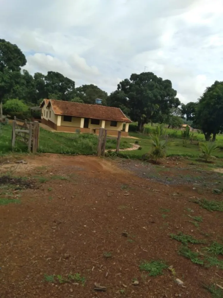 Fazenda - Foto 1