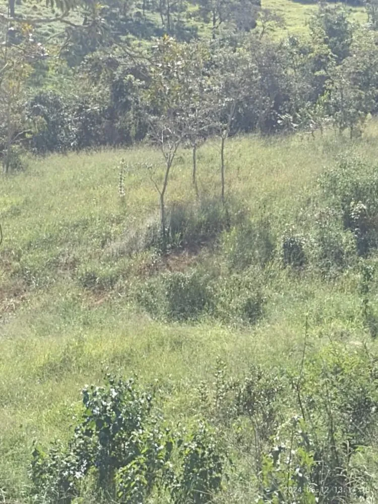 Terreno - Foto 2