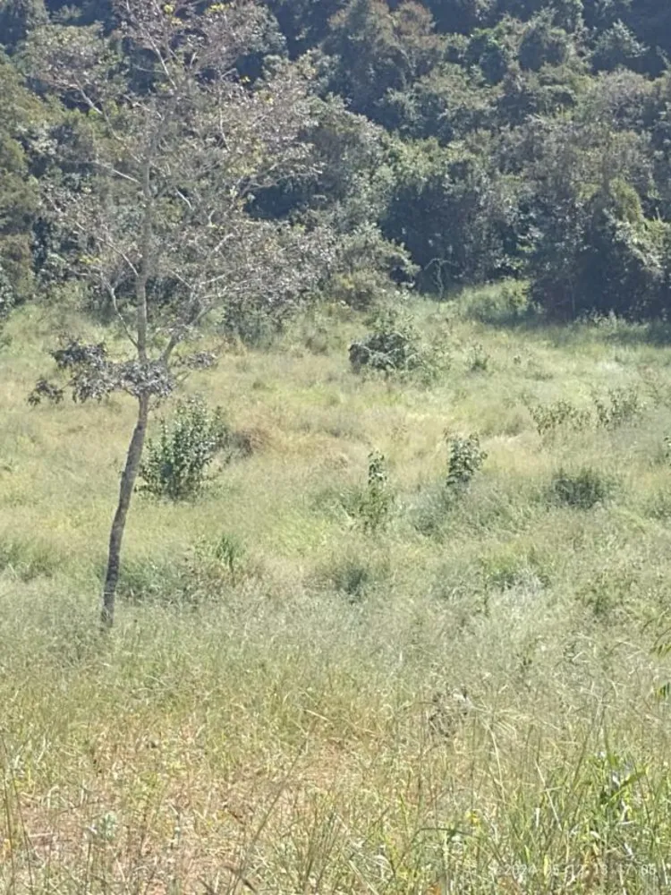 Terreno - Foto 1