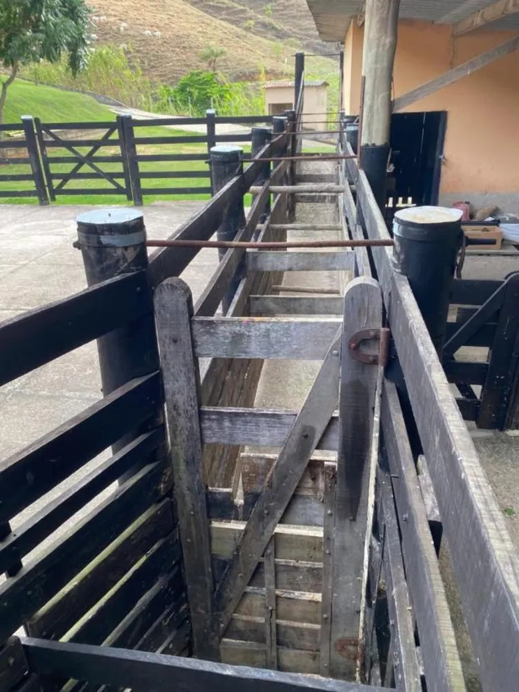 Fazenda - Foto 3