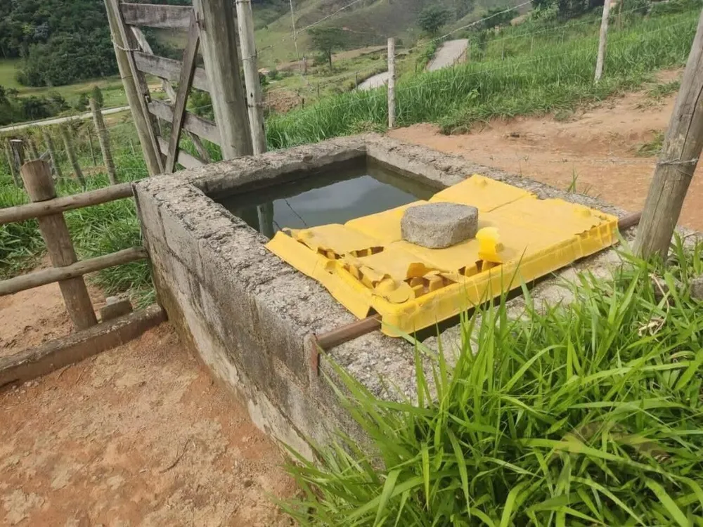Fazenda - Foto 1