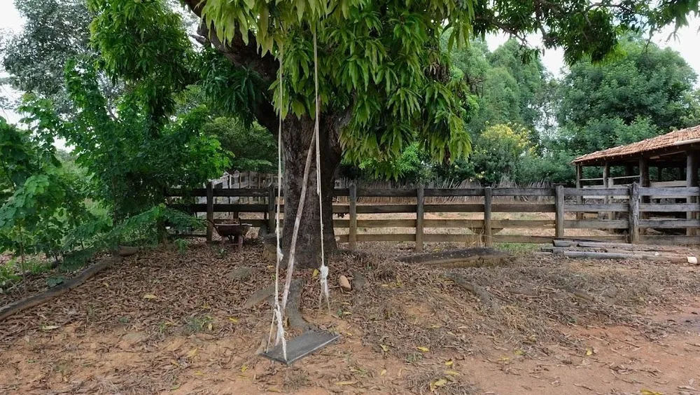 Fazenda - Foto 4