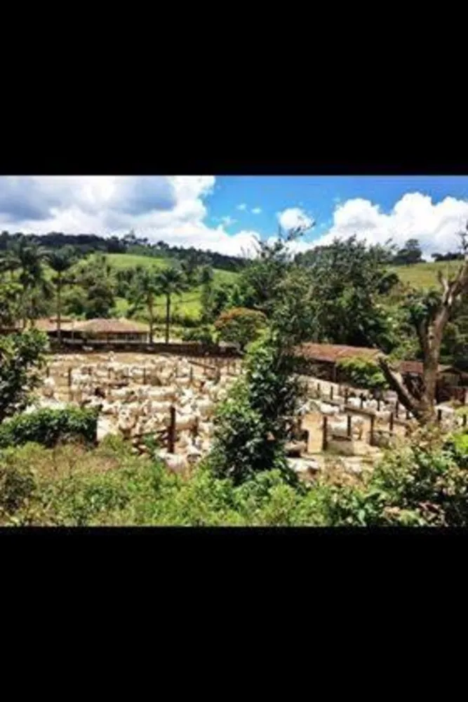 Fazenda - Foto 2