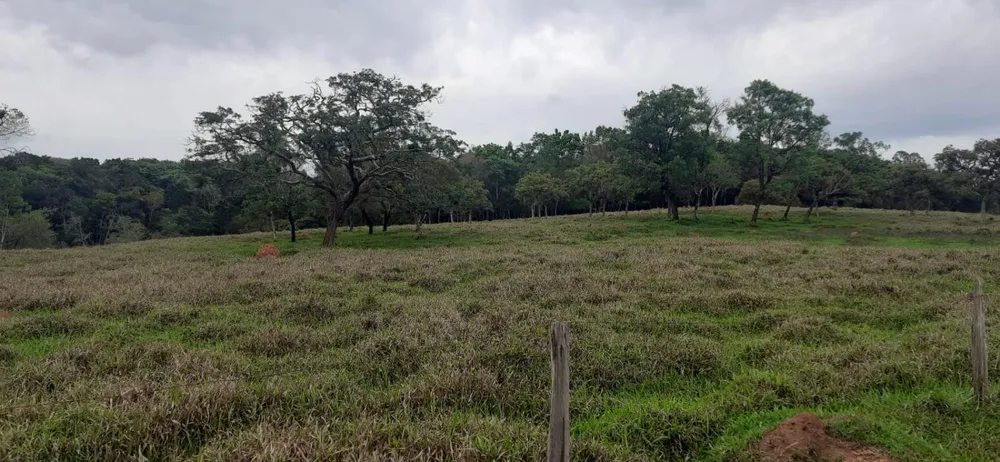 Terreno - Foto 1