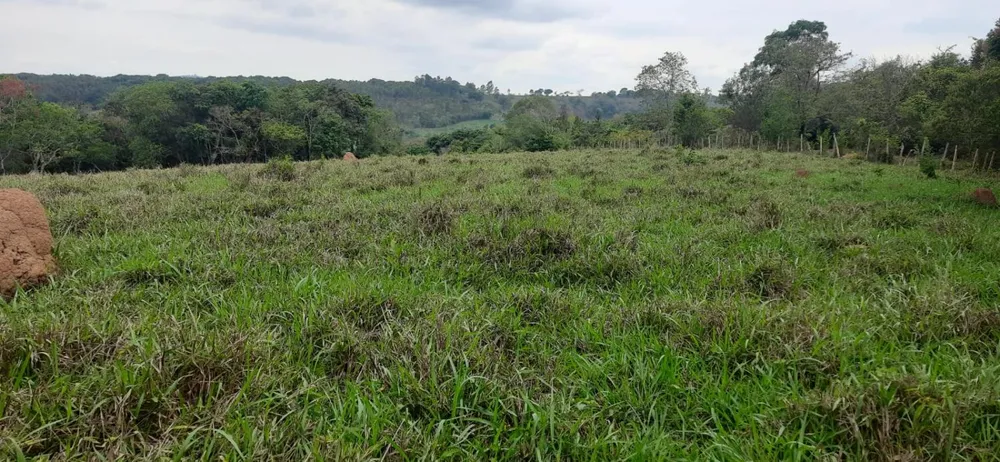 Terreno - Foto 3