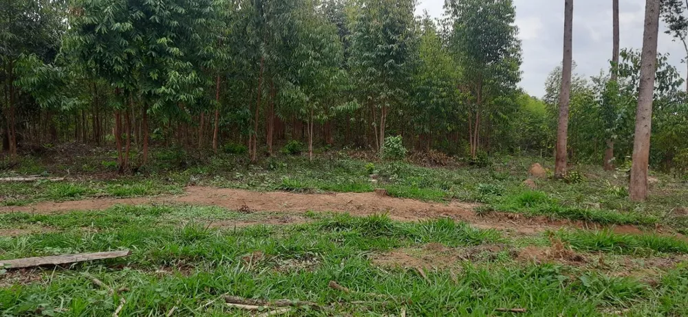 Terreno - Foto 4