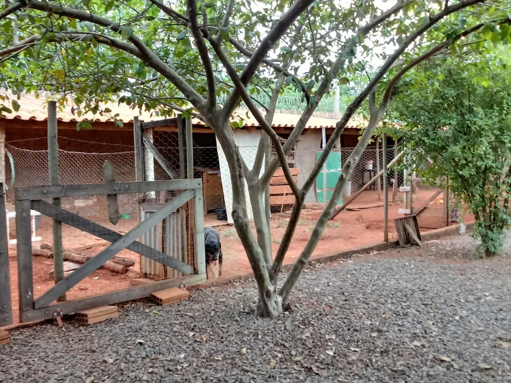 Sítio, 2 quartos, 20 m² - Foto 3