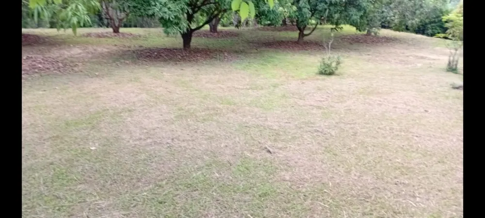 Fazenda, 200 m² - Foto 4