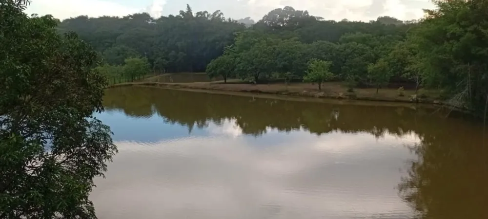 Fazenda, 200 m² - Foto 3