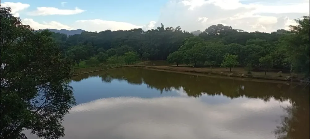 Fazenda, 200 m² - Foto 2