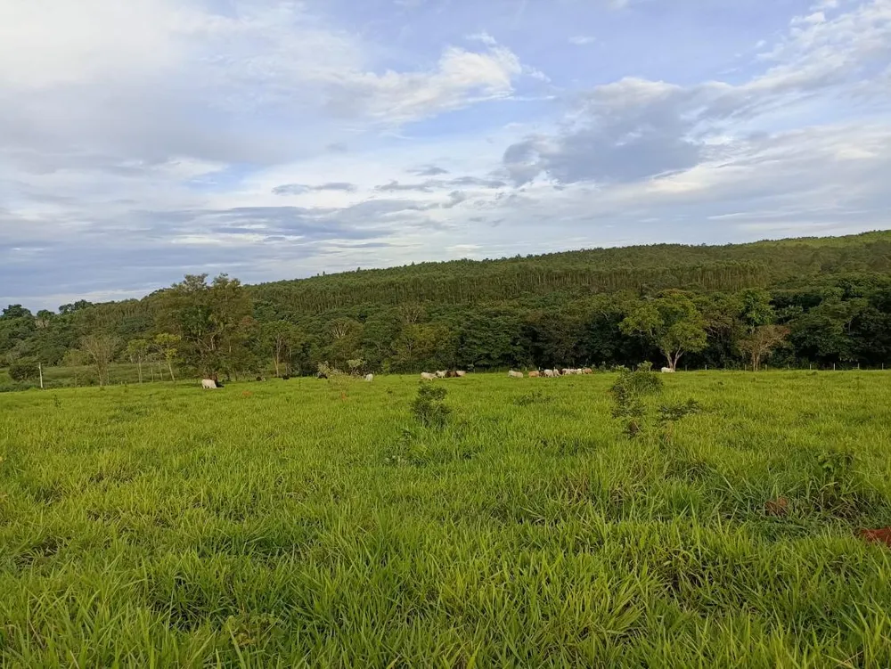 Terreno - Foto 2