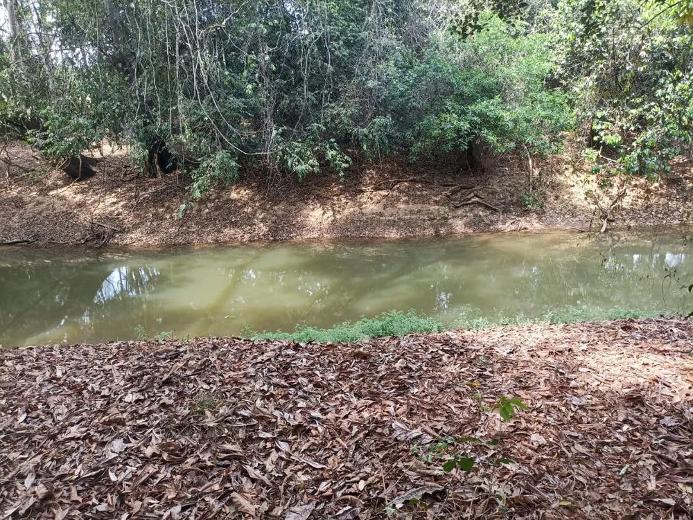 Terreno - Foto 4