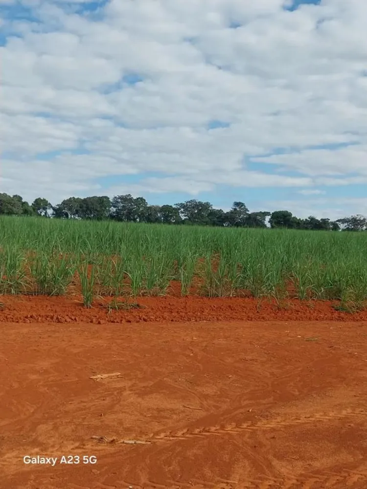 Fazenda - Foto 1