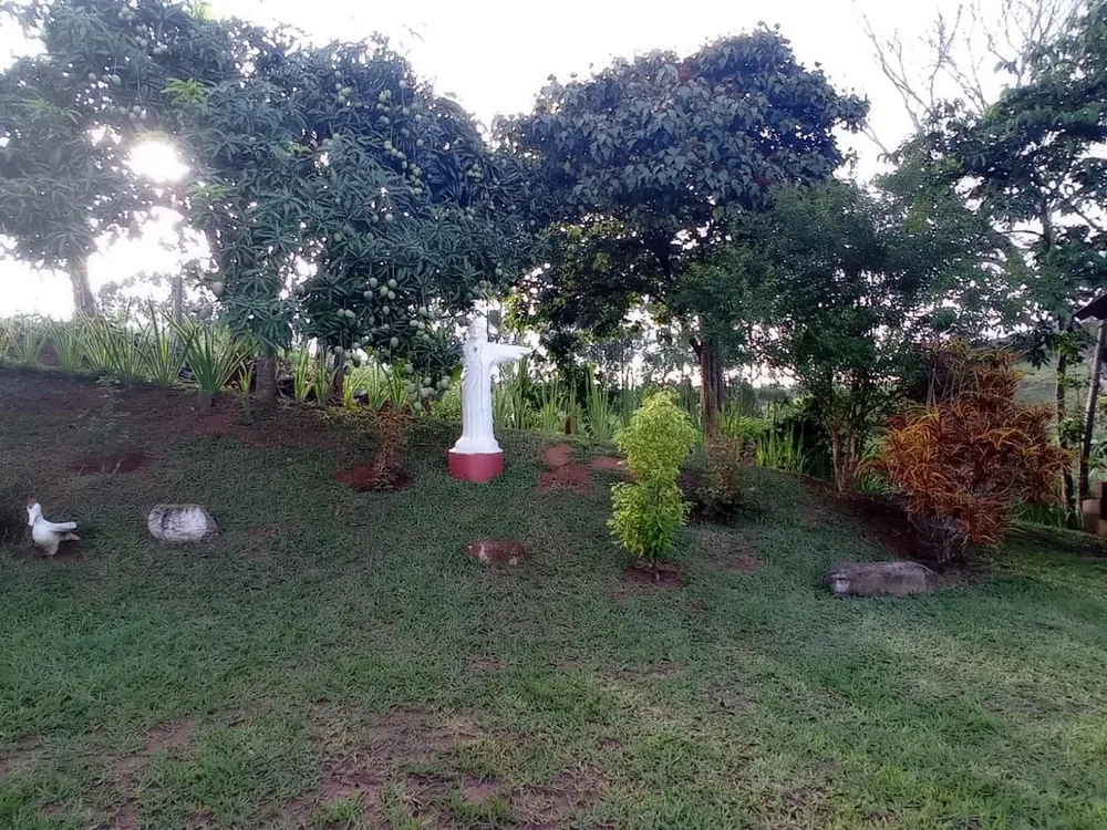 Sítio, 2 quartos, 45 m² - Foto 4