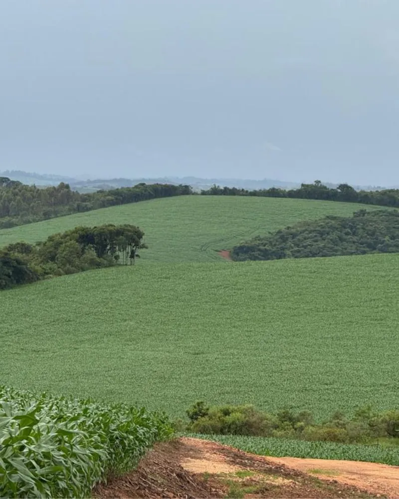 Fazenda - Foto 1