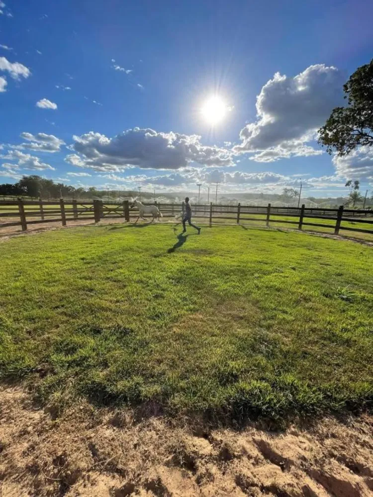 Fazenda - Foto 1