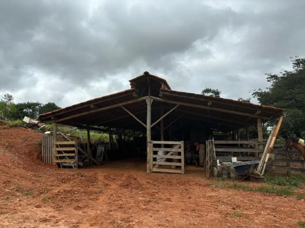 Fazenda, 10000 m² - Foto 4