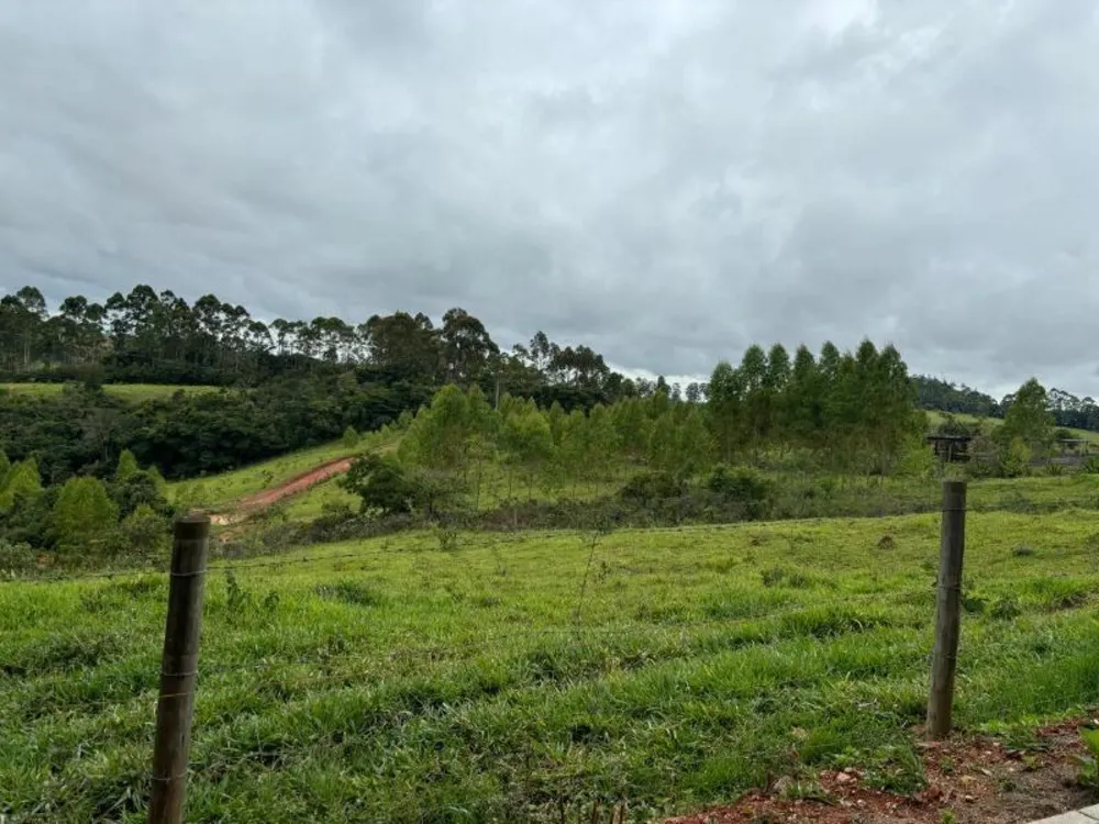 Fazenda, 10000 m² - Foto 3