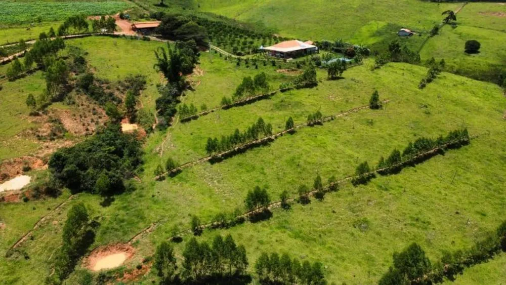 Fazenda, 10000 m² - Foto 1