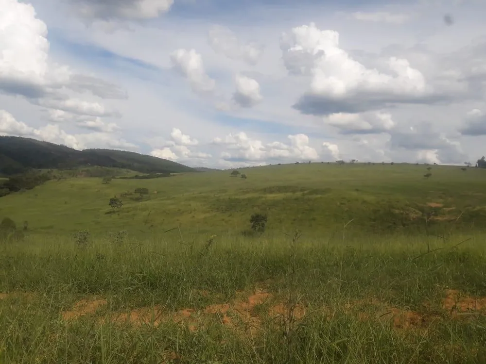 Fazenda - Foto 4