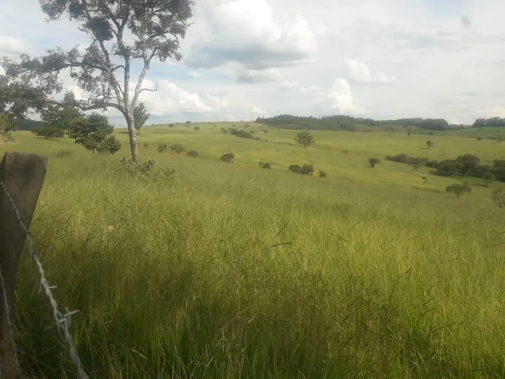 Fazenda - Foto 1