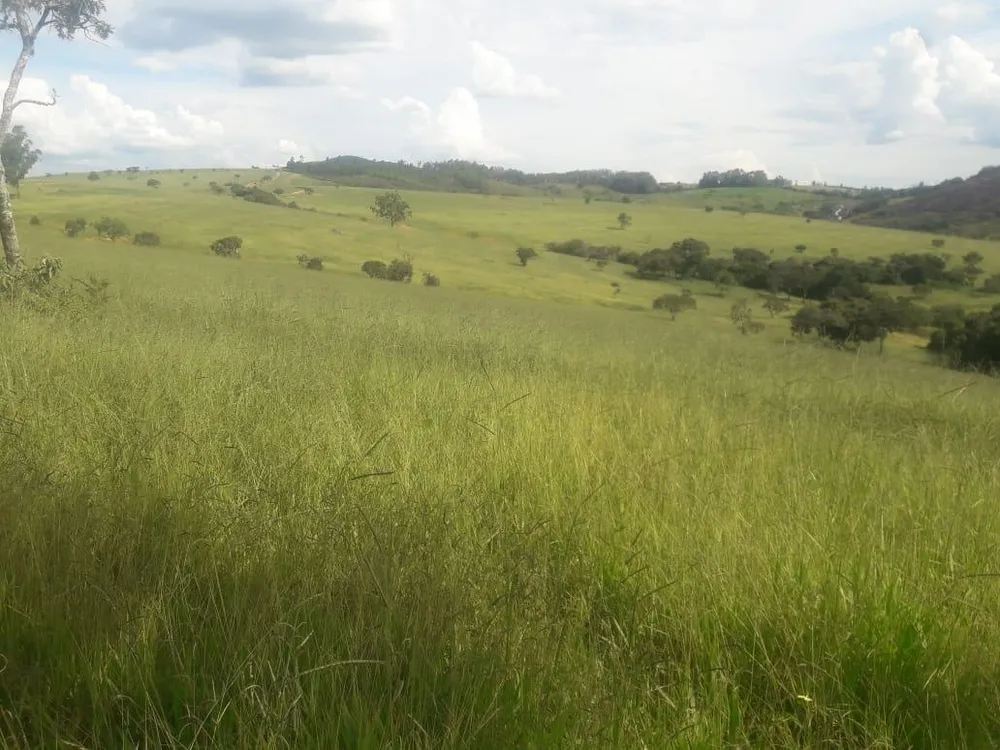 Fazenda - Foto 3
