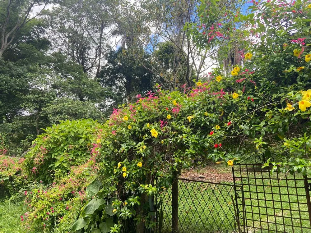 Fazenda - Foto 1