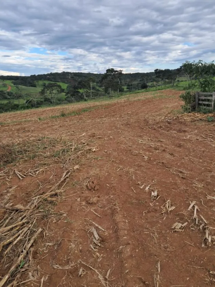 Fazenda - Foto 4