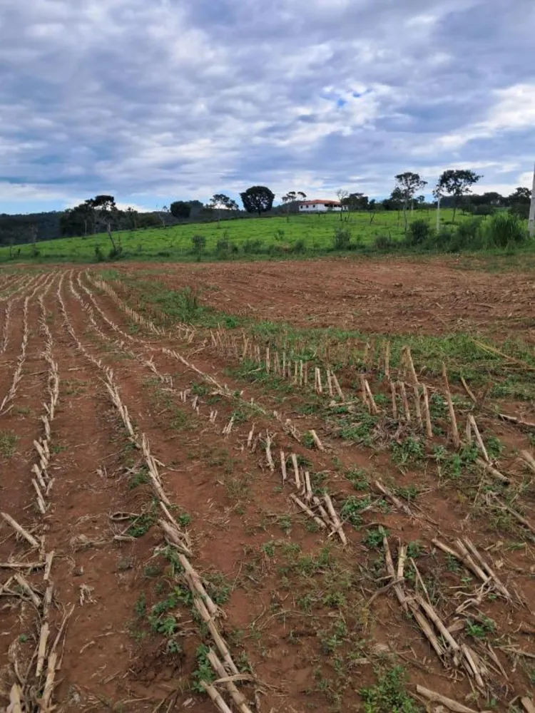 Fazenda - Foto 3