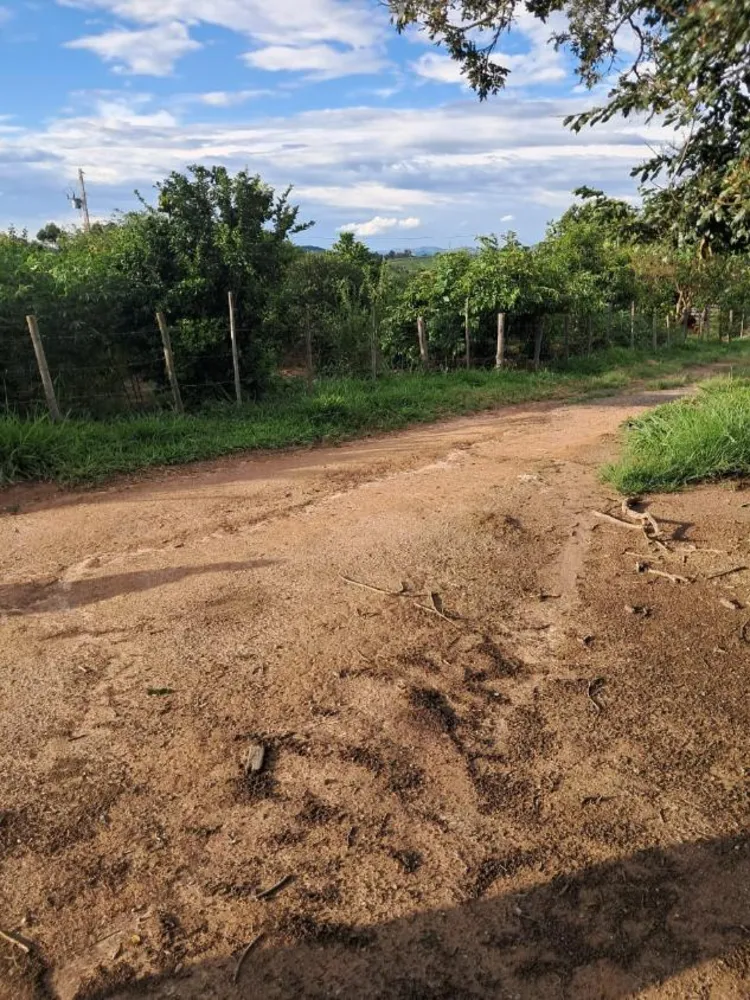 Fazenda - Foto 1