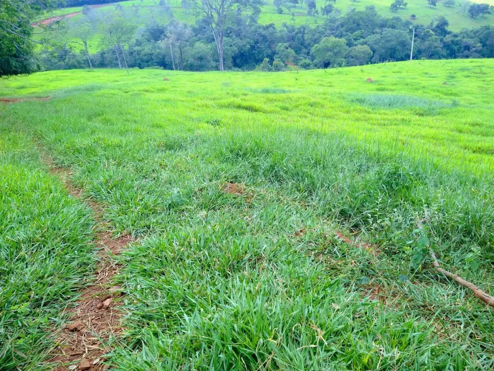 Fazenda - Foto 4