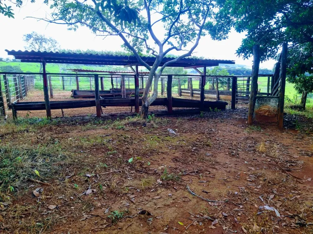 Fazenda - Foto 2